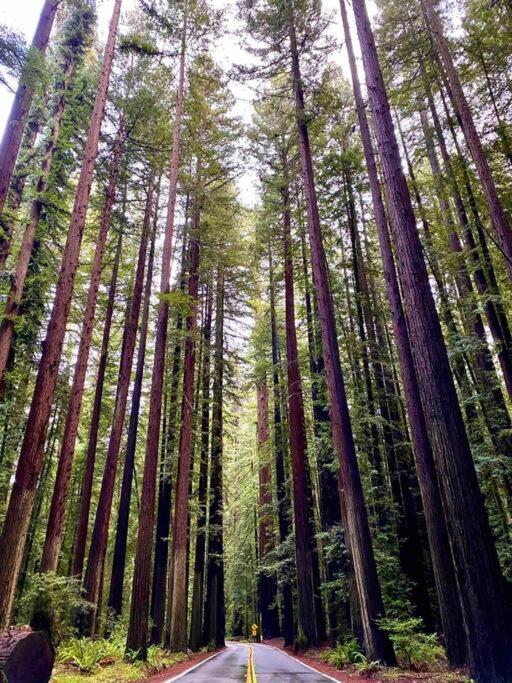 Avenue Of The Giants Pepperwood Place Miranda Bagian luar foto